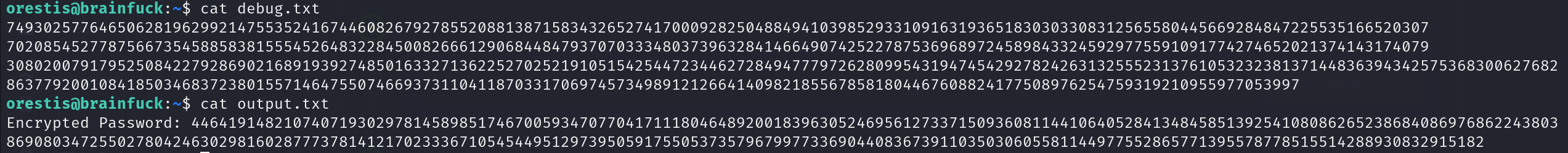 debug